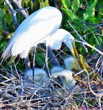 DSC_5236_001.JPG