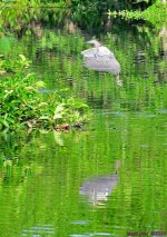 DSC_5270_001.JPG