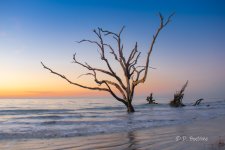 DSC_0043-6.jpg