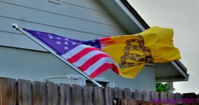 DSC_0337_001.JPG