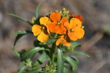 750_0017_cr.jpg
