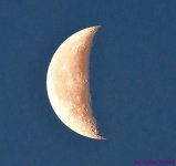 DSC_5622_001.JPG