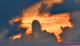 DSC_5644_001.JPG