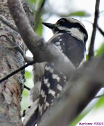 DSC_5648_001.JPG