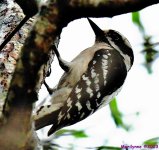 DSC_5660_001.JPG