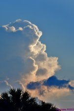 DSC_5696_001.JPG