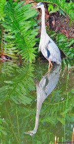 DSC_5726_001.JPG