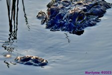 DSC_5763_001.JPG