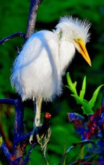 DSC_5766_001.JPG