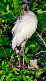 DSC_5770_001.JPG
