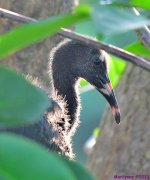DSC_5781_001.JPG