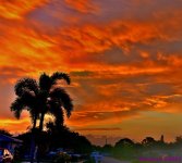 DSC_0379_stitch4_001.JPG
