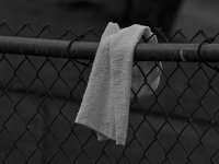 Towel.jpg