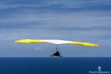 Hang Glider 2.jpg