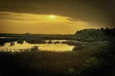 LandscapeSunset.jpg