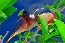 DSC_5973_001.JPG
