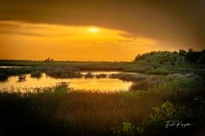 LandscapeSunset-1.jpg