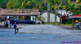 DSC_0436_001.JPG