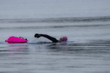 Swimmer.jpg