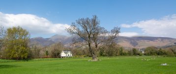 Landscape Pano.jpg