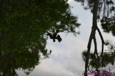 DSC_6179.JPG