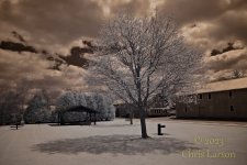 2023-04-26IR01.jpg