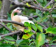 DSC_6272_001.JPG
