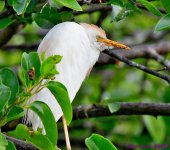 DSC_6276_001.JPG
