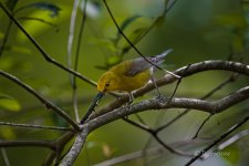 _DAB8608-DeNoiseAI-low-light.jpg