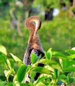 DSC_6356_001.JPG