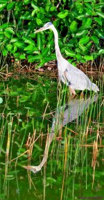 DSC_6591_stitch_001.JPG