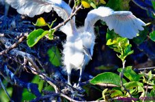 DSC_6648_001.JPG