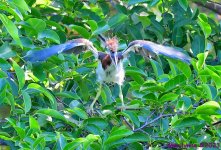 DSC_6670_001.JPG
