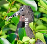 DSC_6835_001.JPG