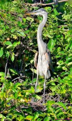 DSC_6843_001.JPG