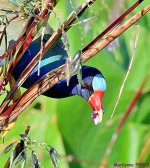 DSC_6858_001.JPG