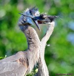 DSC_6883_001.JPG