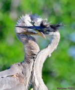 DSC_6889_001.JPG
