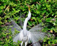 DSC_6909_001.JPG