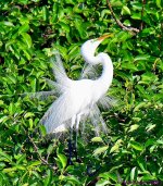 DSC_6916_001.JPG