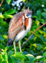 DSC_6946_001.JPG
