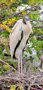 DSC_7052_001.JPG