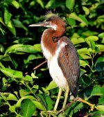DSC_7180_001.JPG