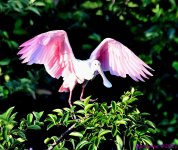 DSC_7215_001.JPG
