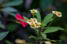_DAB9011-SharpenAI-Motion.jpg
