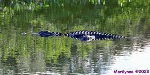 DSC_7490_stitch_001.JPG