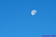 DSC_7539_001_01.JPG