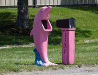 Fishy mailbox_sm.jpg