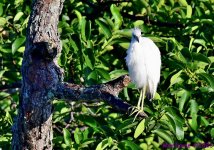 DSC_7566_001.JPG