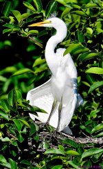 DSC_7635_001.JPG